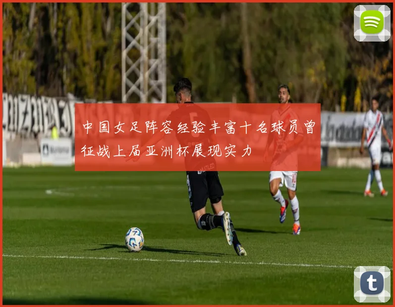 中国女足阵容经验丰富十名球员曾征战上届亚洲杯展现实力