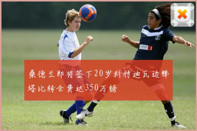 桑德兰即将签下20岁科特迪瓦边锋塔比转会费达350万镑