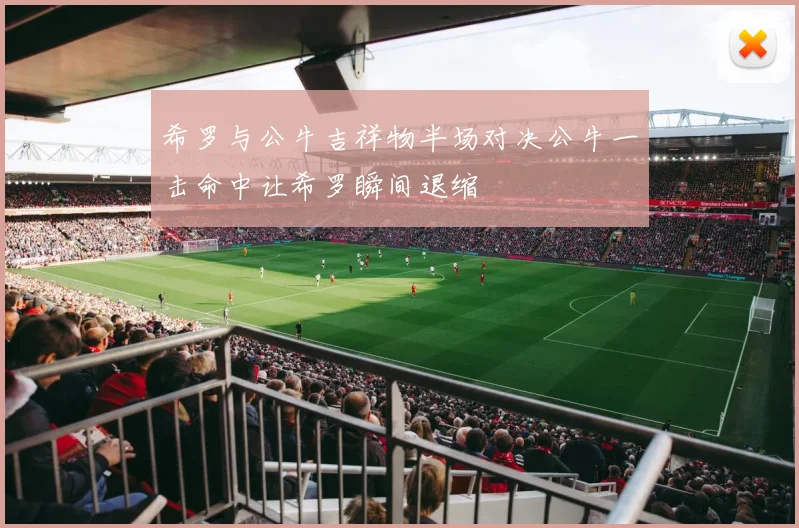 希罗与公牛吉祥物半场对决公牛一击命中让希罗瞬间退缩