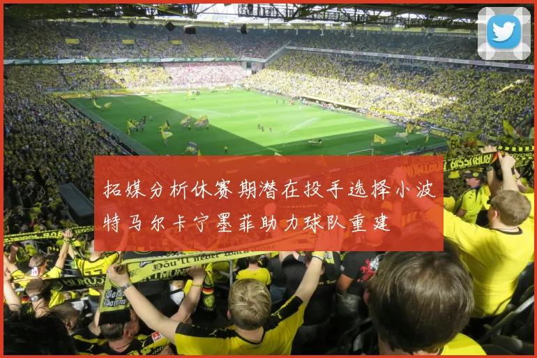 拓媒分析休赛期潜在投手选择小波特马尔卡宁墨菲助力球队重建